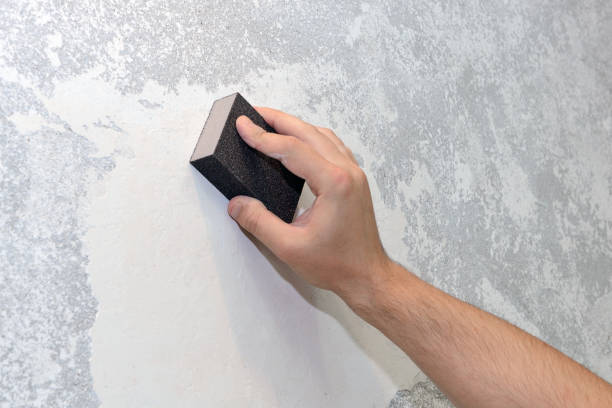 Best Mold Damage Restoration  in Sunset, UT