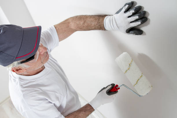 Best Asbestos and Lead Testing During Mold Inspection  in Sunset, UT