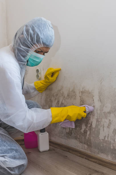 Best Mold Odor Removal Services  in Sunset, UT