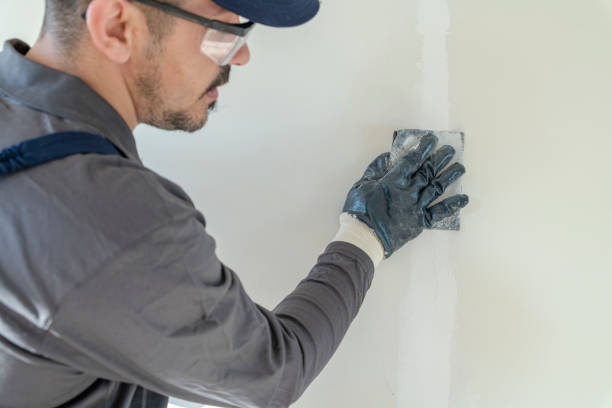 Best Commercial Mold Inspection  in Sunset, UT
