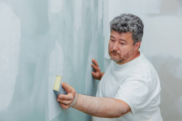 Best Mold Removal for HVAC Installations  in Sunset, UT