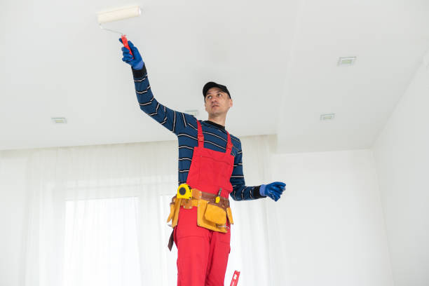 Professional Mold Removal in Sunset, UT